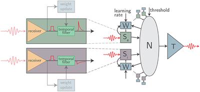 Considerations for Neuromorphic Supercomputing in Semiconducting and Superconducting Optoelectronic Hardware